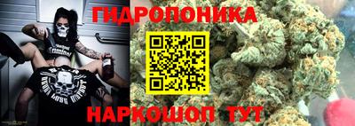 прущие крисы Гусев