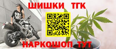 прущие крисы Гусев
