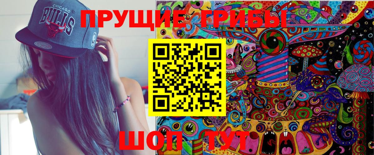 Псилоцибиновые грибы Psilocybe  Галлюциногенные грибы MAGIC MUSHROOMS  магазин продажи наркотиков  Вход с VPN  Тамбов 